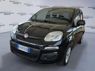 Fiat Panda 1.2 Easy del 2017 usata a Empoli