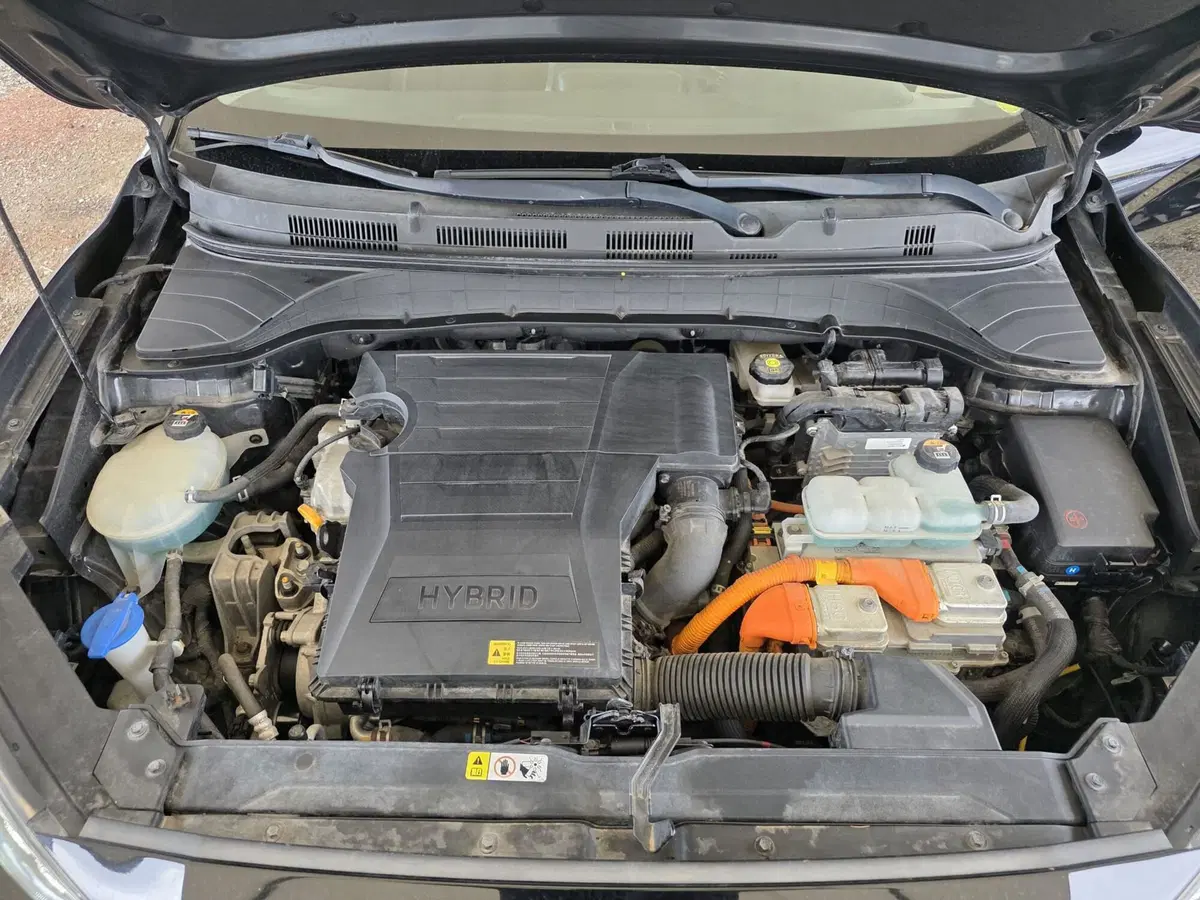 Hyundai Kona usata a Firenze (17)
