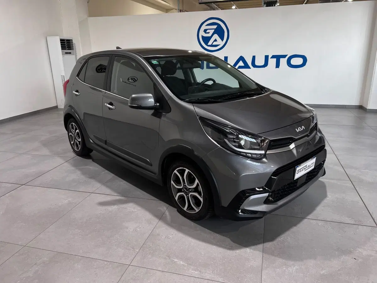 Kia Picanto usata a Alessandria (2)
