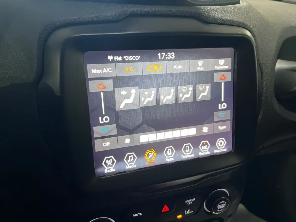 Jeep Renegade usata a Alessandria (15)