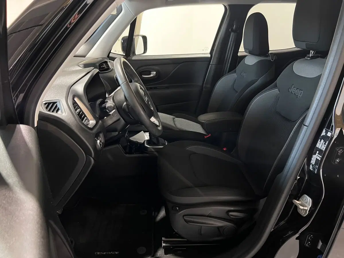 Jeep Renegade usata a Alessandria (16)
