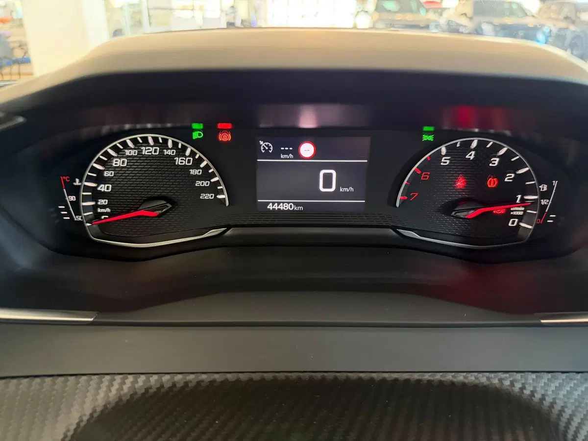 Peugeot 2008 usata a Alessandria (18)
