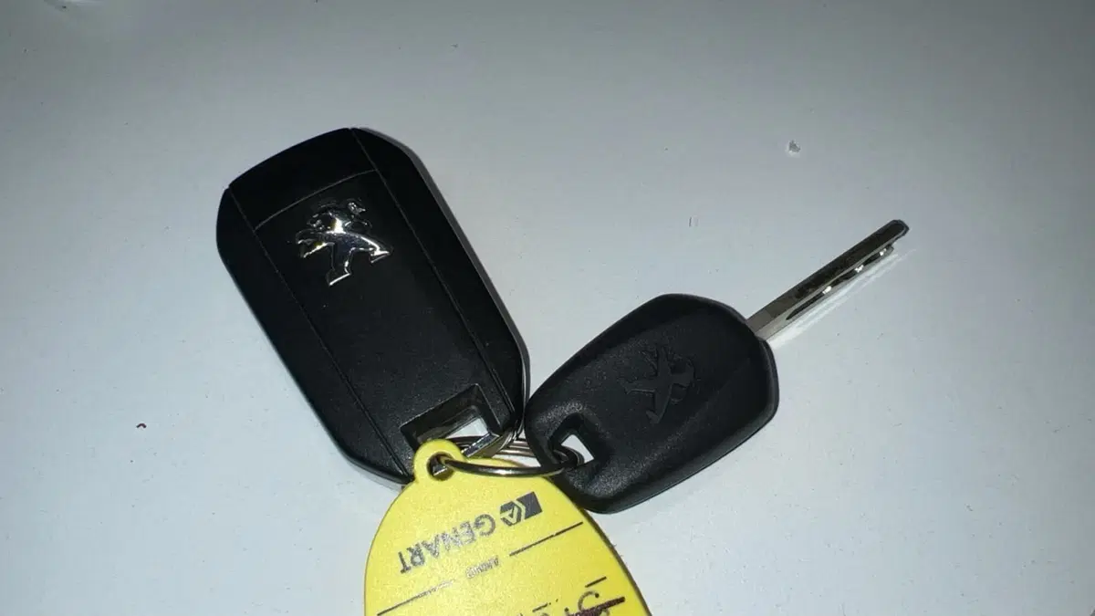 Peugeot 208 usata a Alessandria (17)