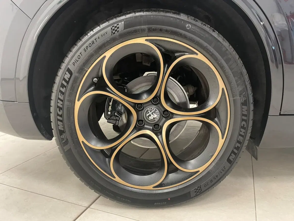 Alfa Romeo Stelvio usata a Alessandria (10)