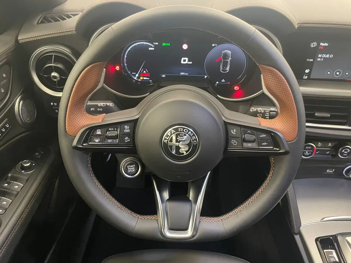 Alfa Romeo Stelvio usata a Alessandria (11)