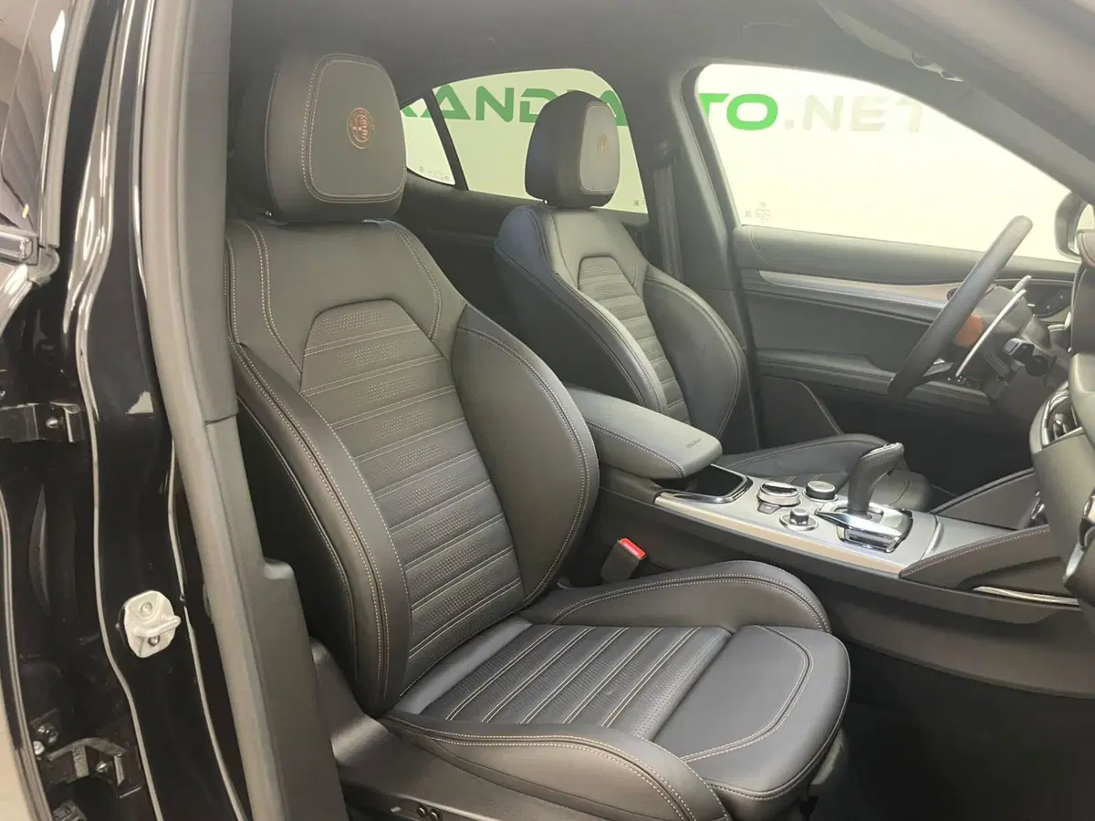 Alfa Romeo Stelvio usata a Alessandria (18)