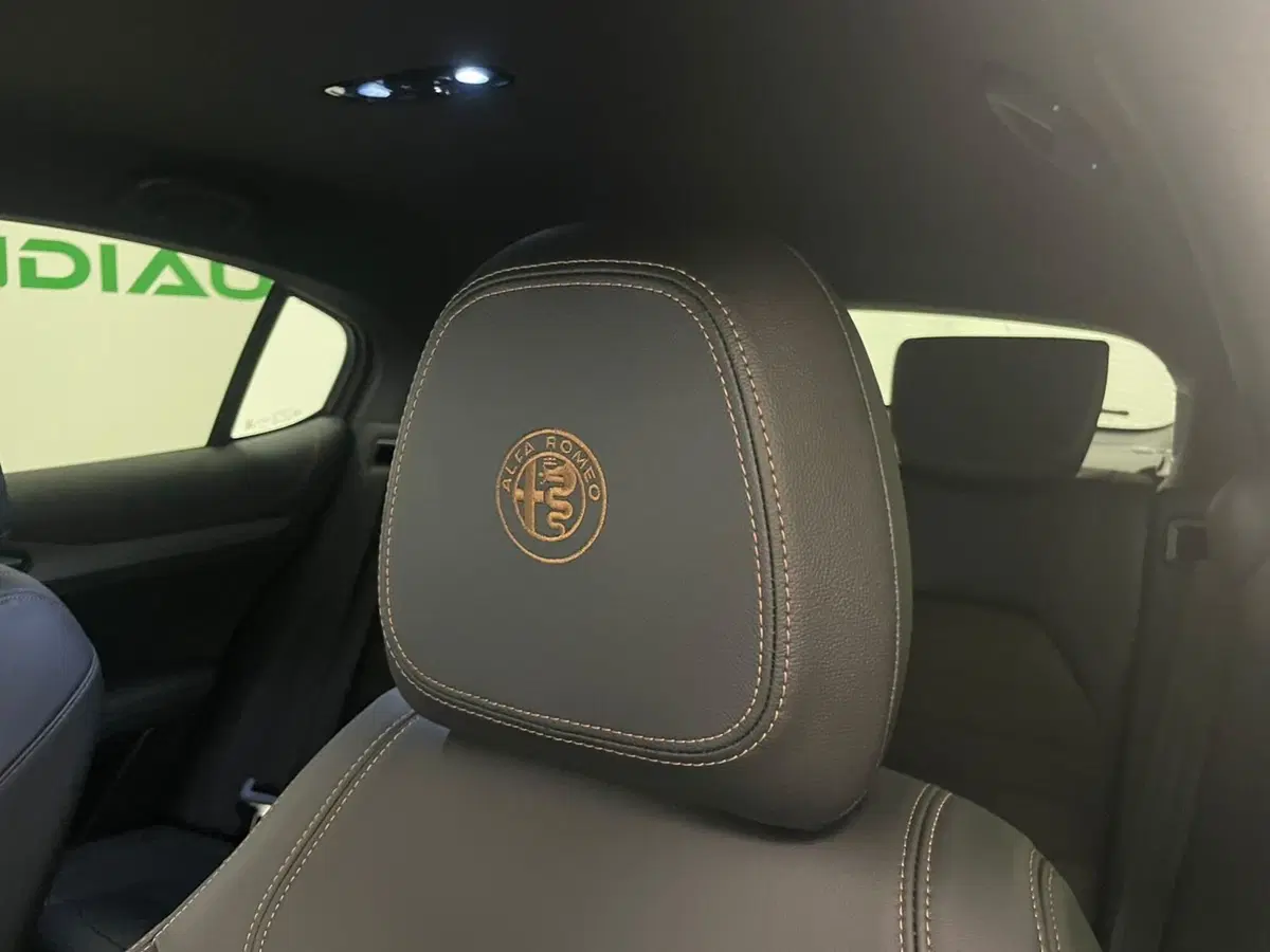 Alfa Romeo Stelvio usata a Alessandria (19)