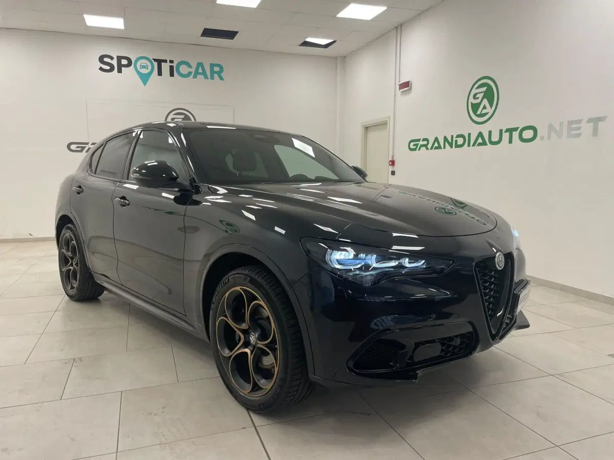 Alfa Romeo Stelvio usata a Alessandria (2)