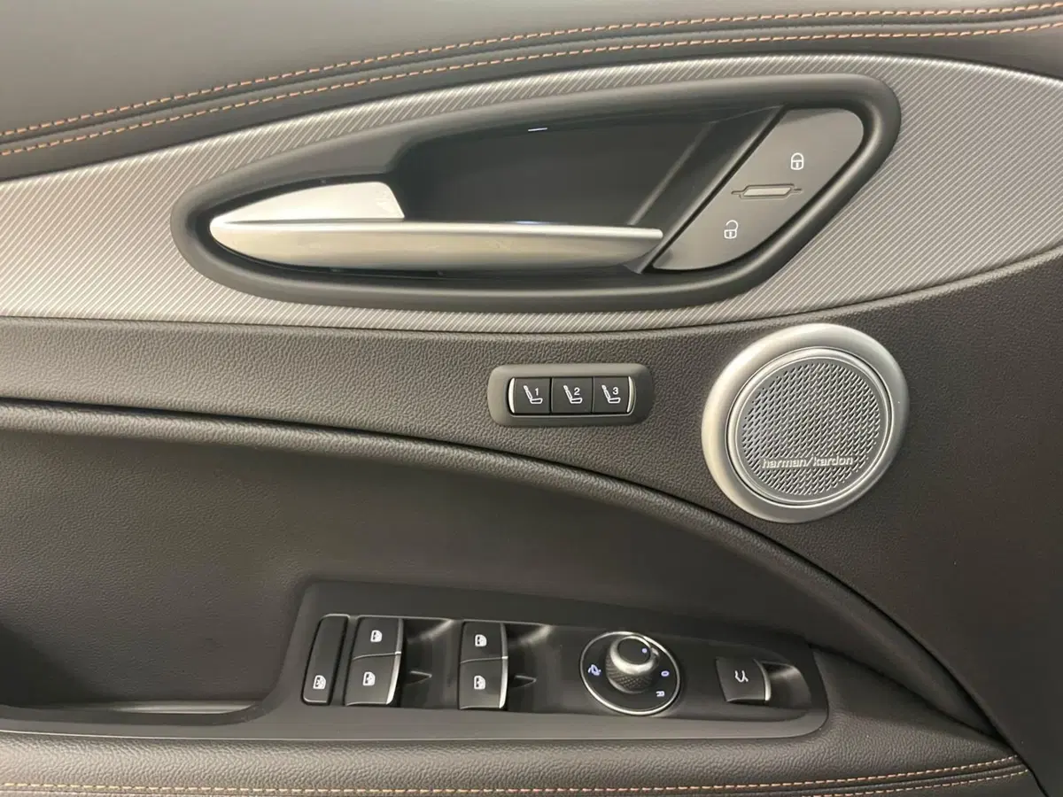 Alfa Romeo Stelvio usata a Alessandria (20)
