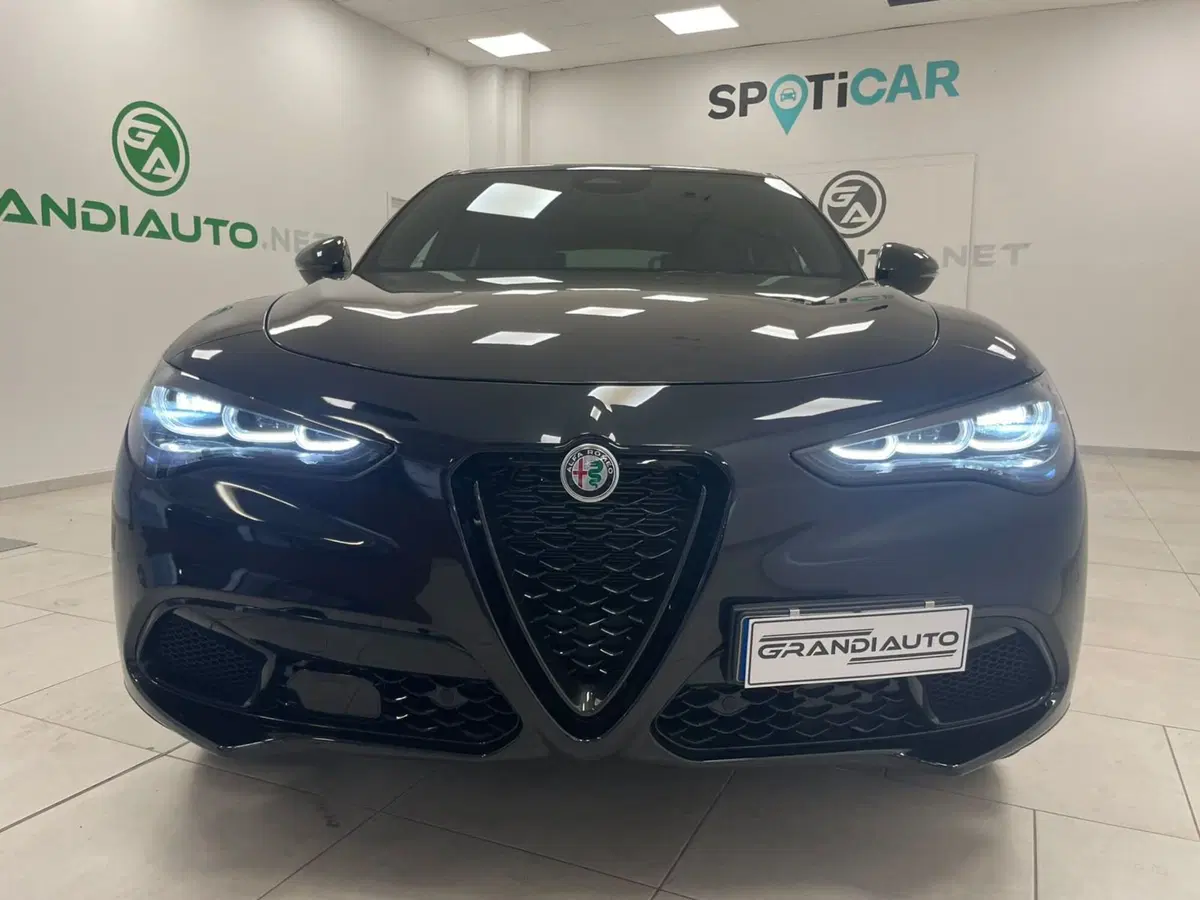 Alfa Romeo Stelvio usata a Alessandria (3)