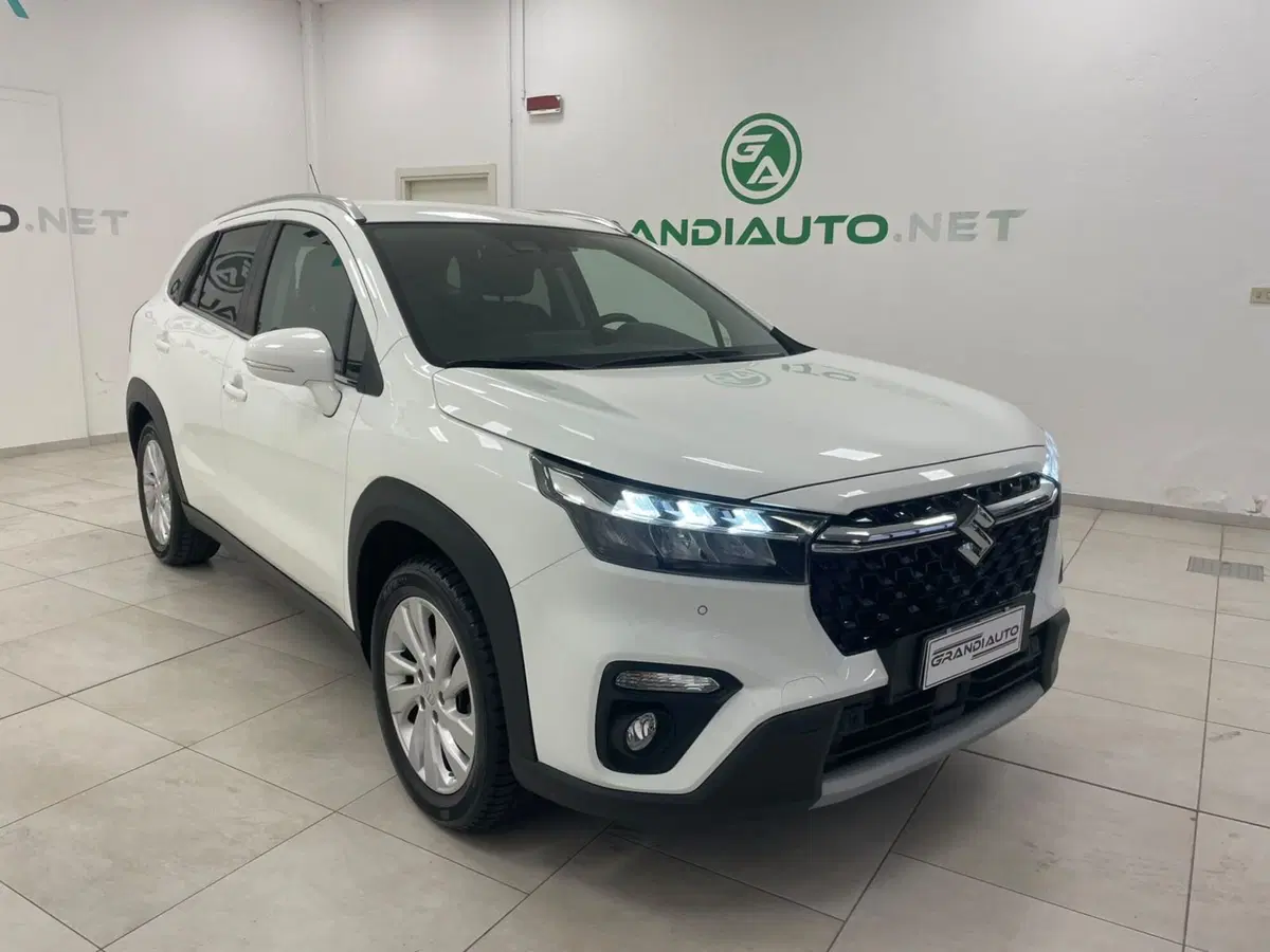 Suzuki S-Cross usata a Alessandria (2)