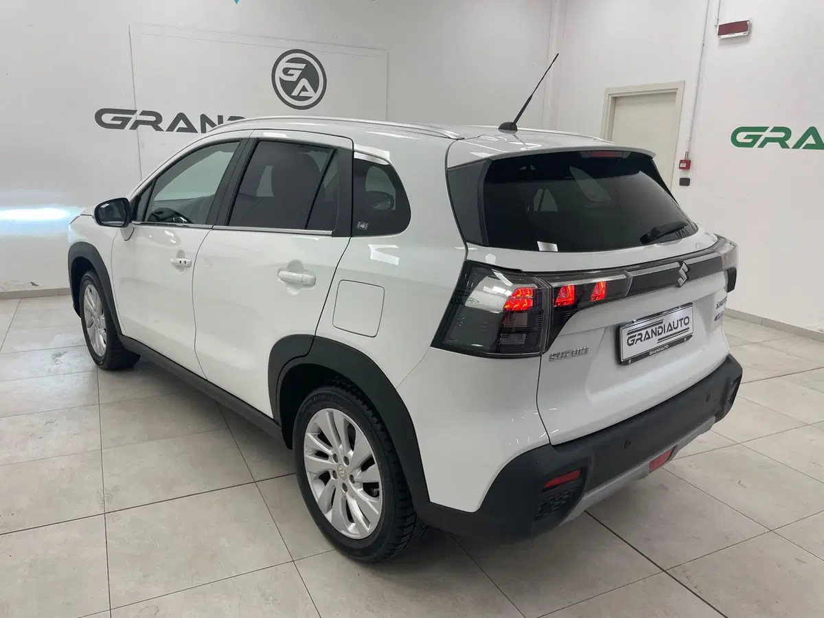 Suzuki S-Cross usata a Alessandria (6)