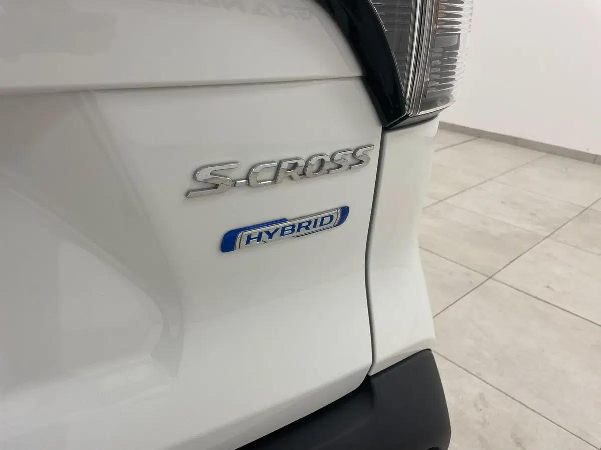 Suzuki S-Cross usata a Alessandria (8)