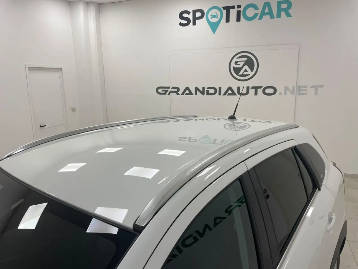 Suzuki S-Cross usata a Alessandria (9)