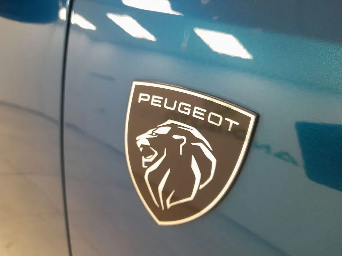 Peugeot 5008 usata a Alessandria (9)