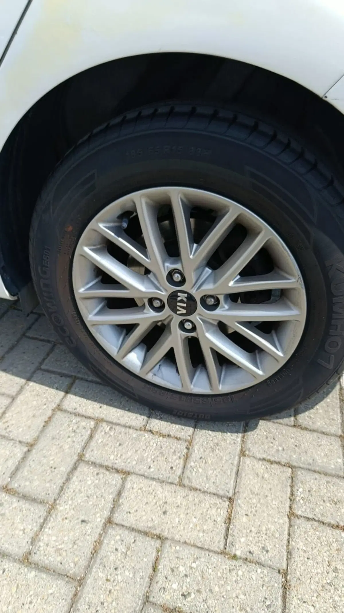 Kia Rio usata a Savona (11)