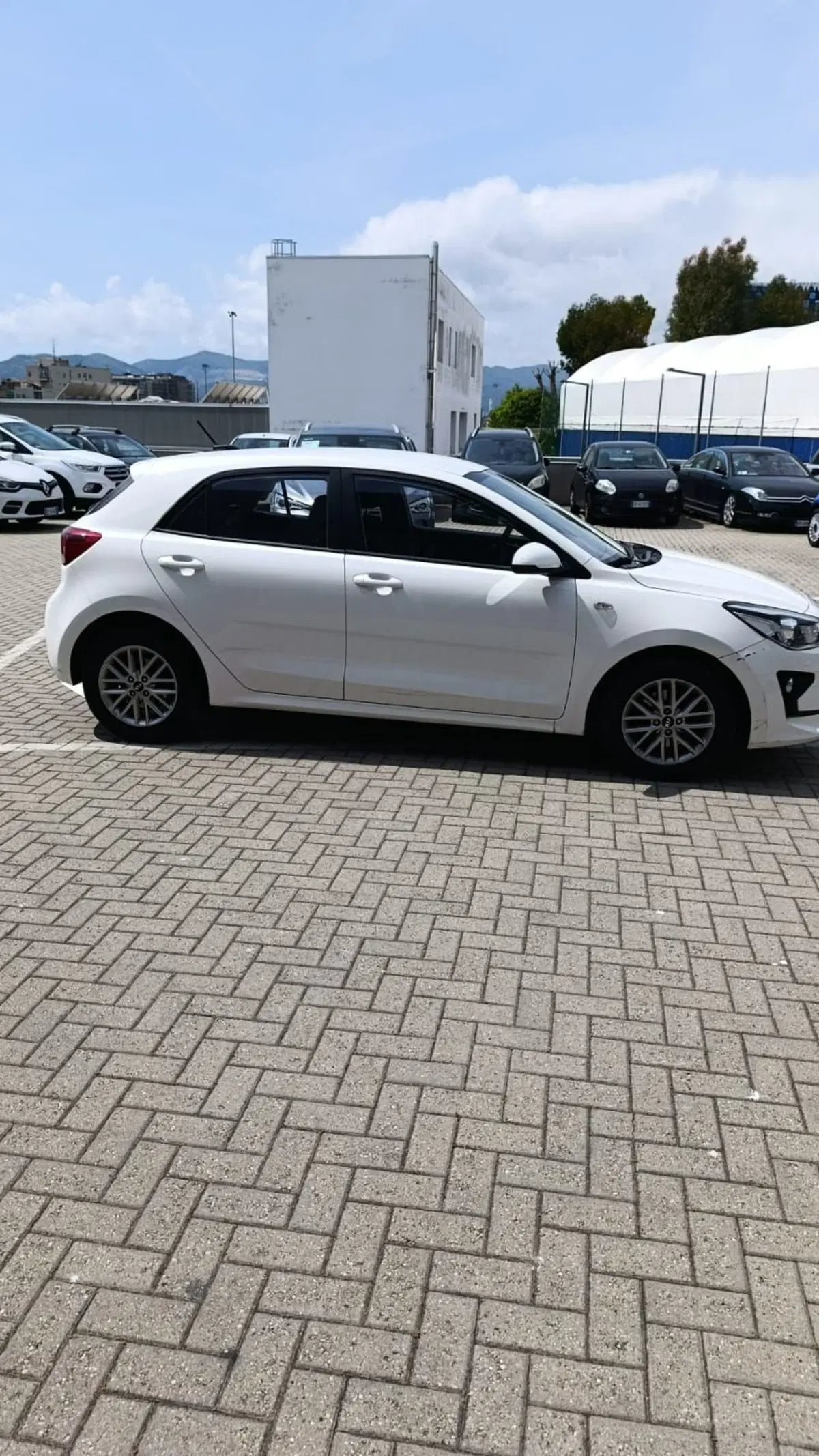 Kia Rio usata a Savona (4)