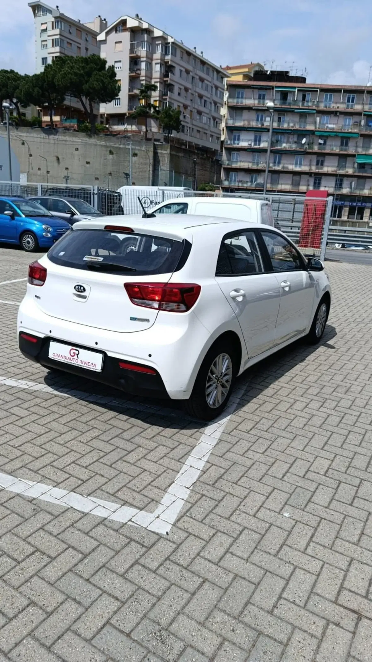 Kia Rio usata a Savona (6)