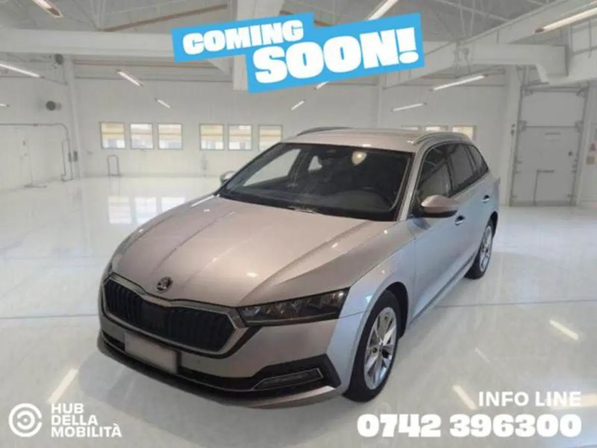 Skoda Octavia Station Wagon usata a Perugia (2)