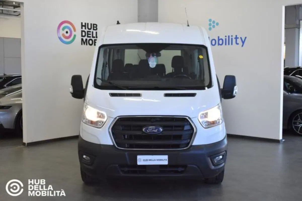 Ford Transit Furgone usata a Perugia (2)