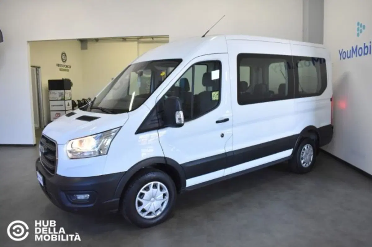 Ford Transit Furgone usata a Perugia (3)