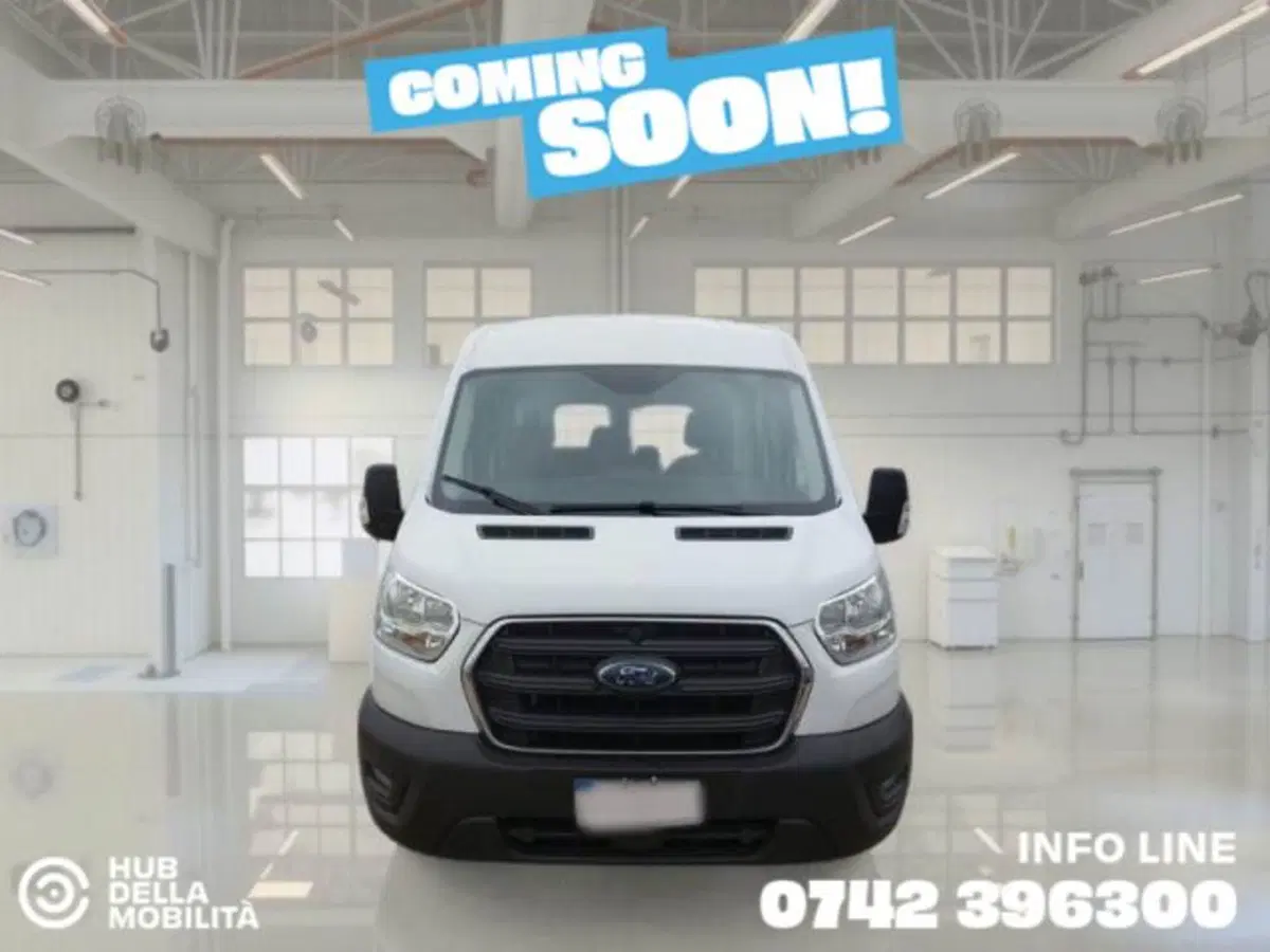 Ford Transit Furgone usata a Perugia
