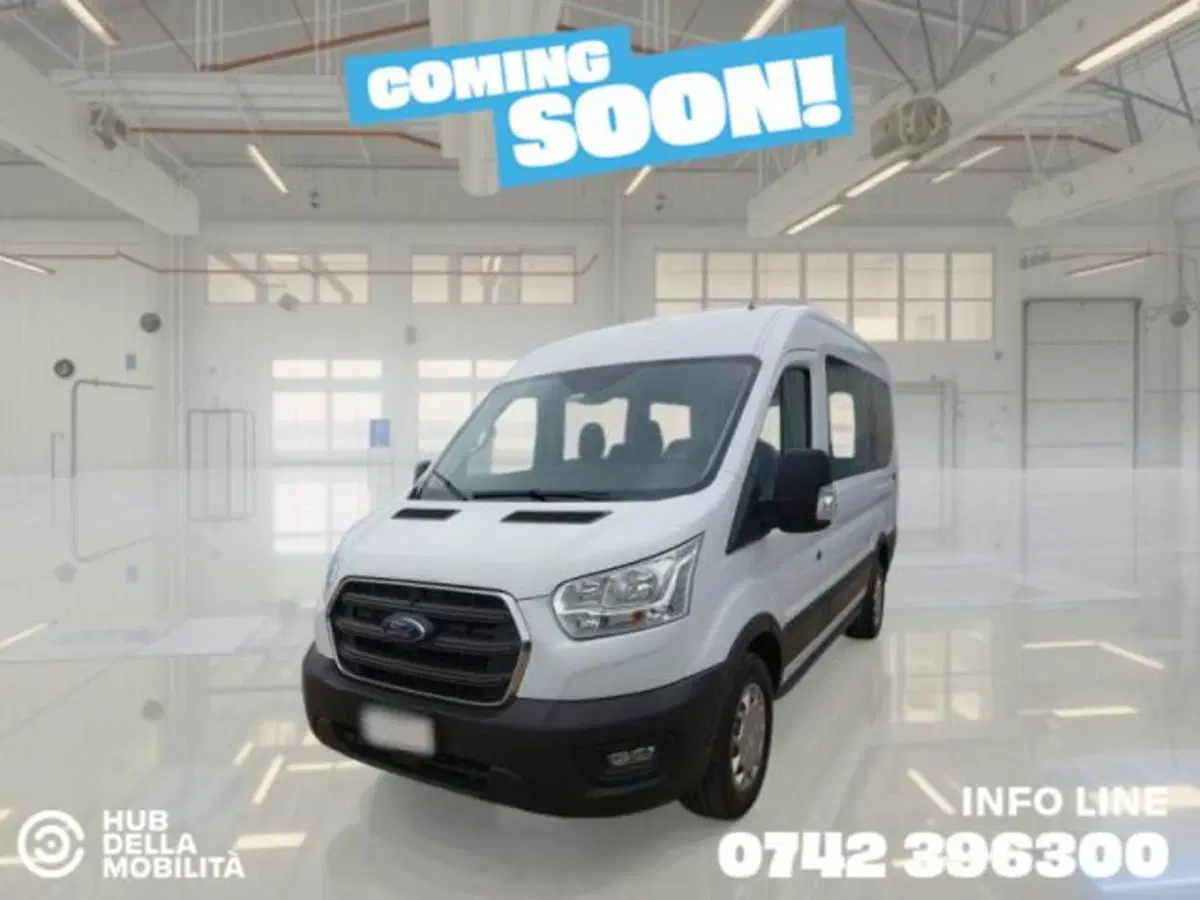 Ford Transit Furgone usata a Perugia (2)