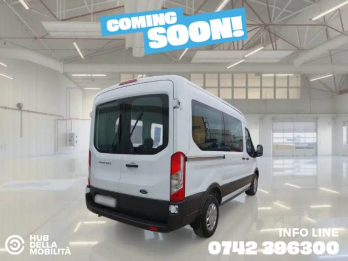 Ford Transit Furgone usata a Perugia (3)