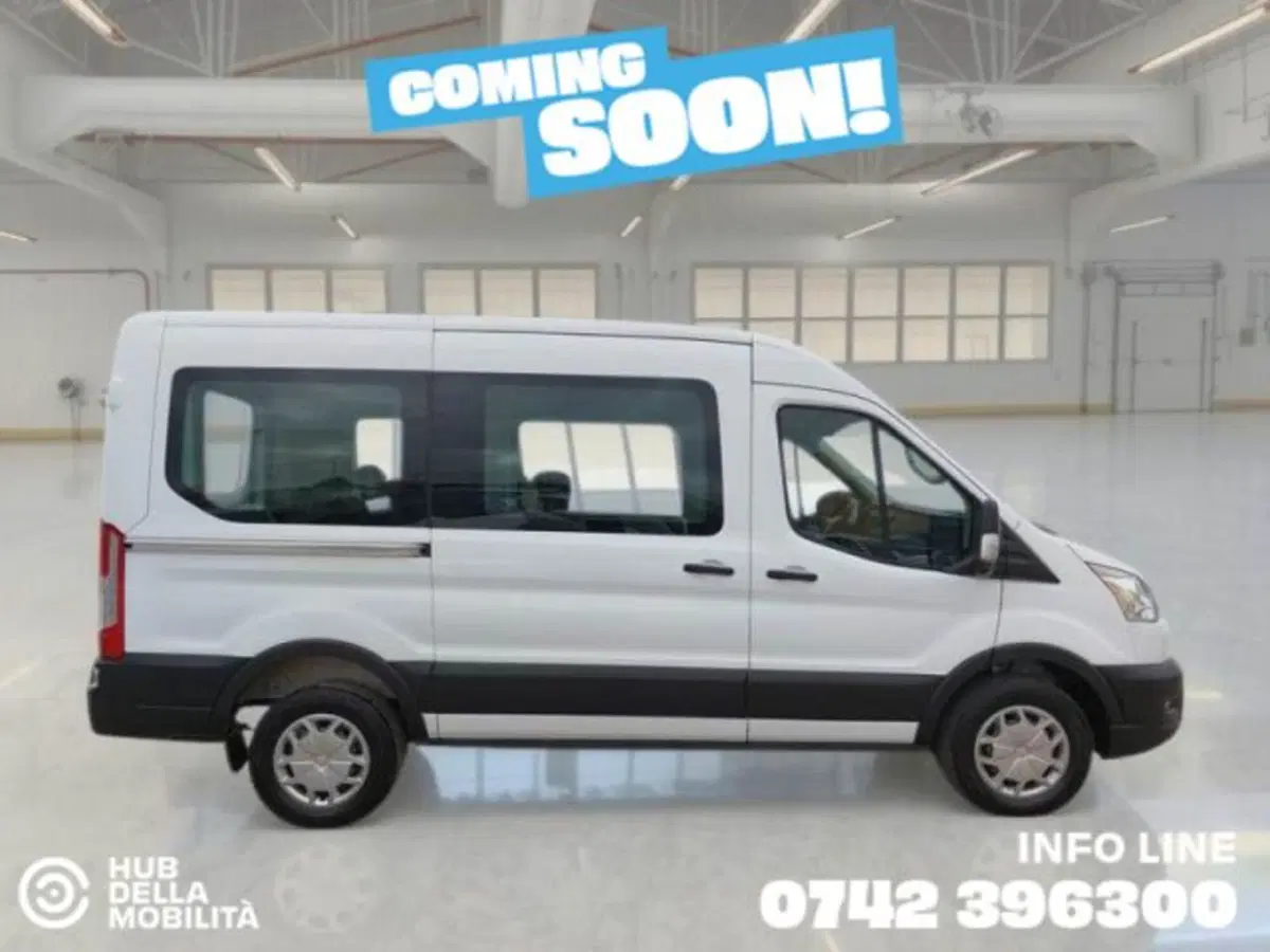Ford Transit Furgone usata a Perugia (4)