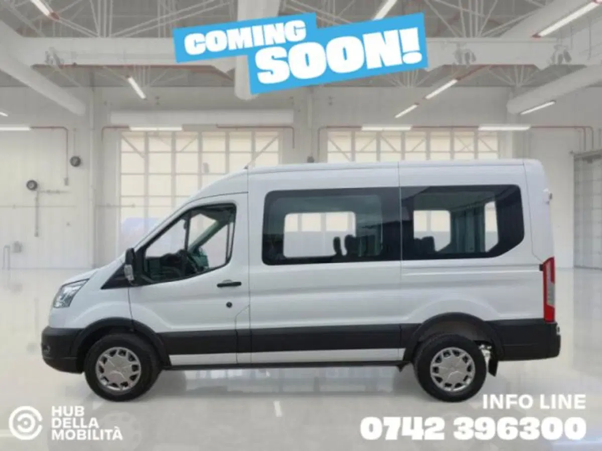 Ford Transit Furgone usata a Perugia (5)