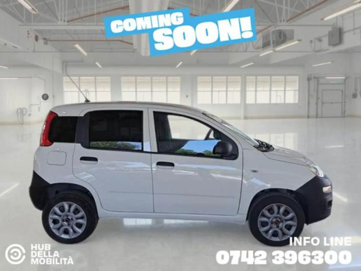 Fiat Panda usata a Perugia (3)