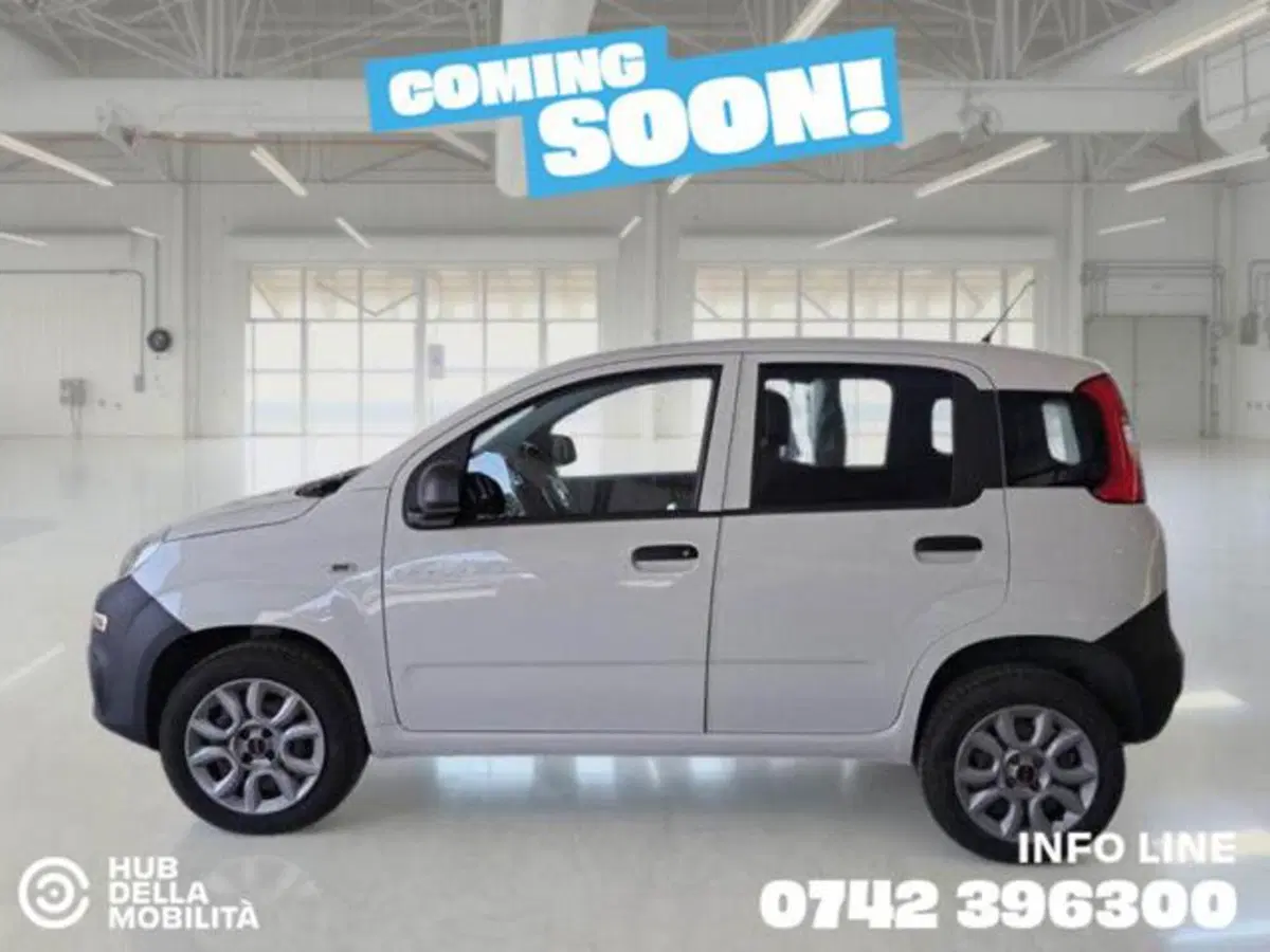 Fiat Panda usata a Perugia (4)
