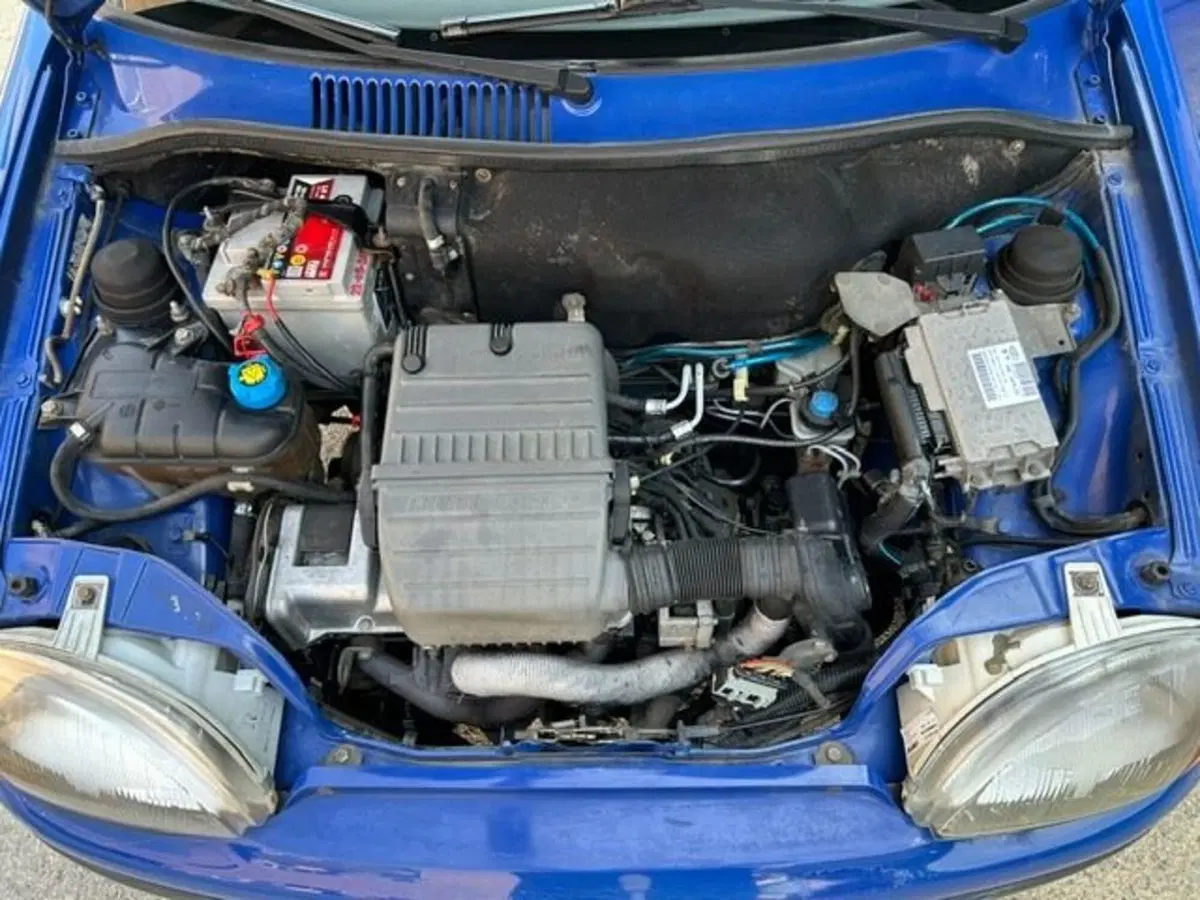 Fiat Seicento usata a Cuneo (18)