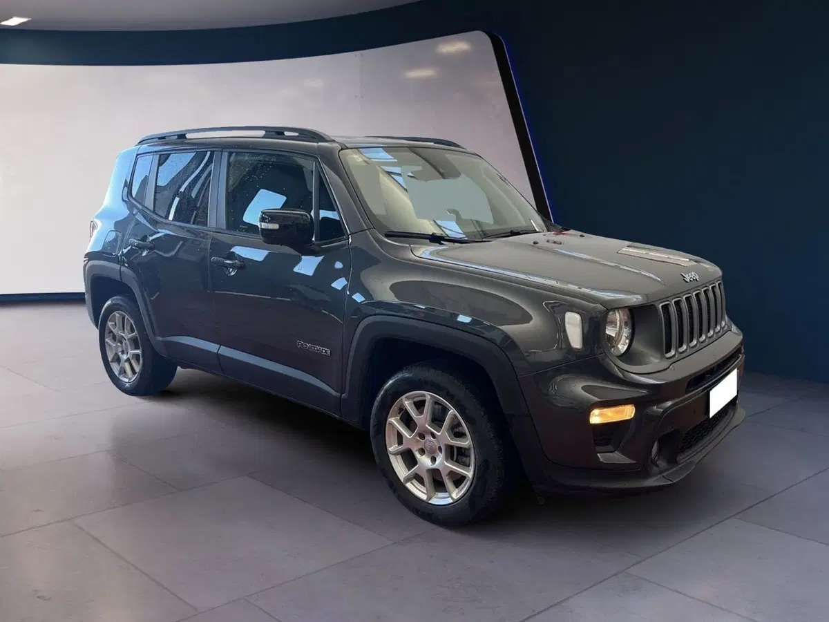 Jeep Renegade usata a Torino (2)
