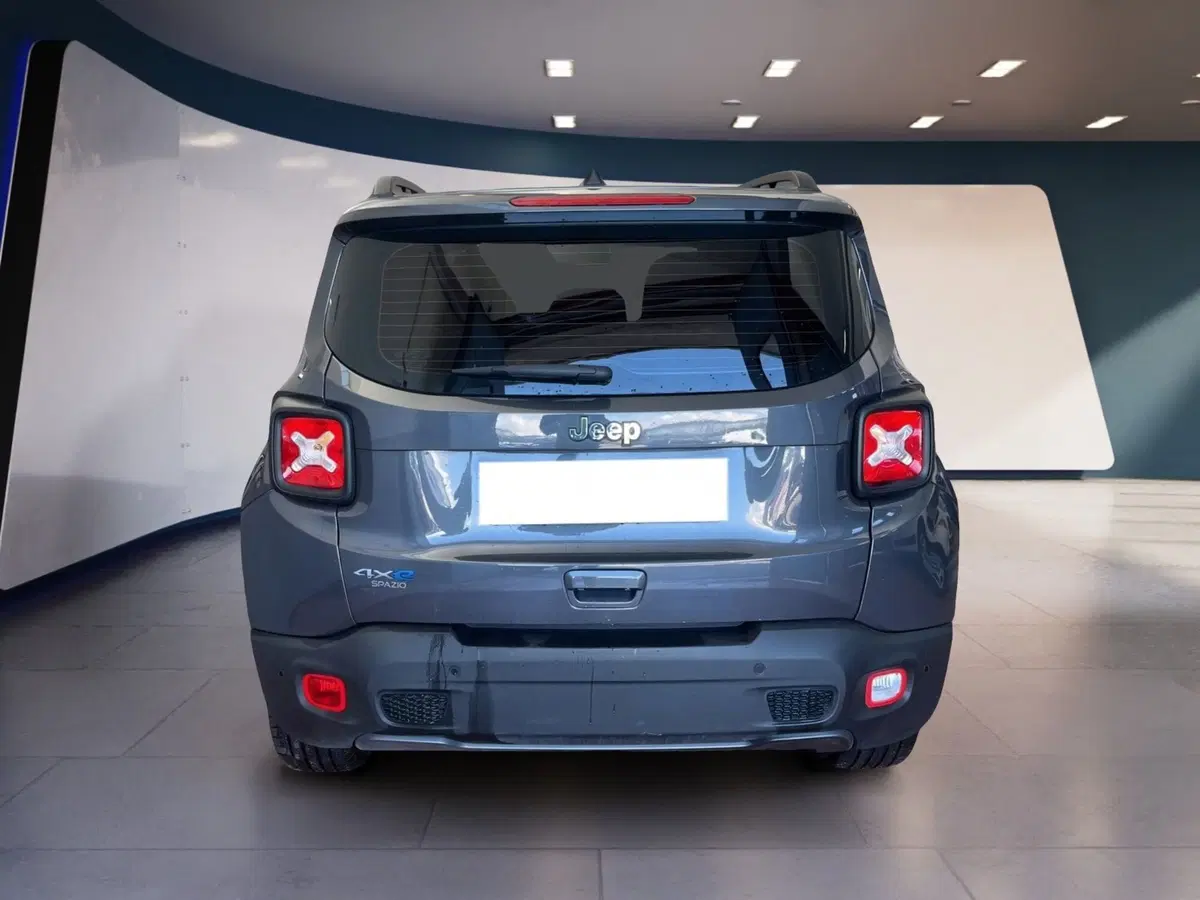 Jeep Renegade usata a Torino (5)