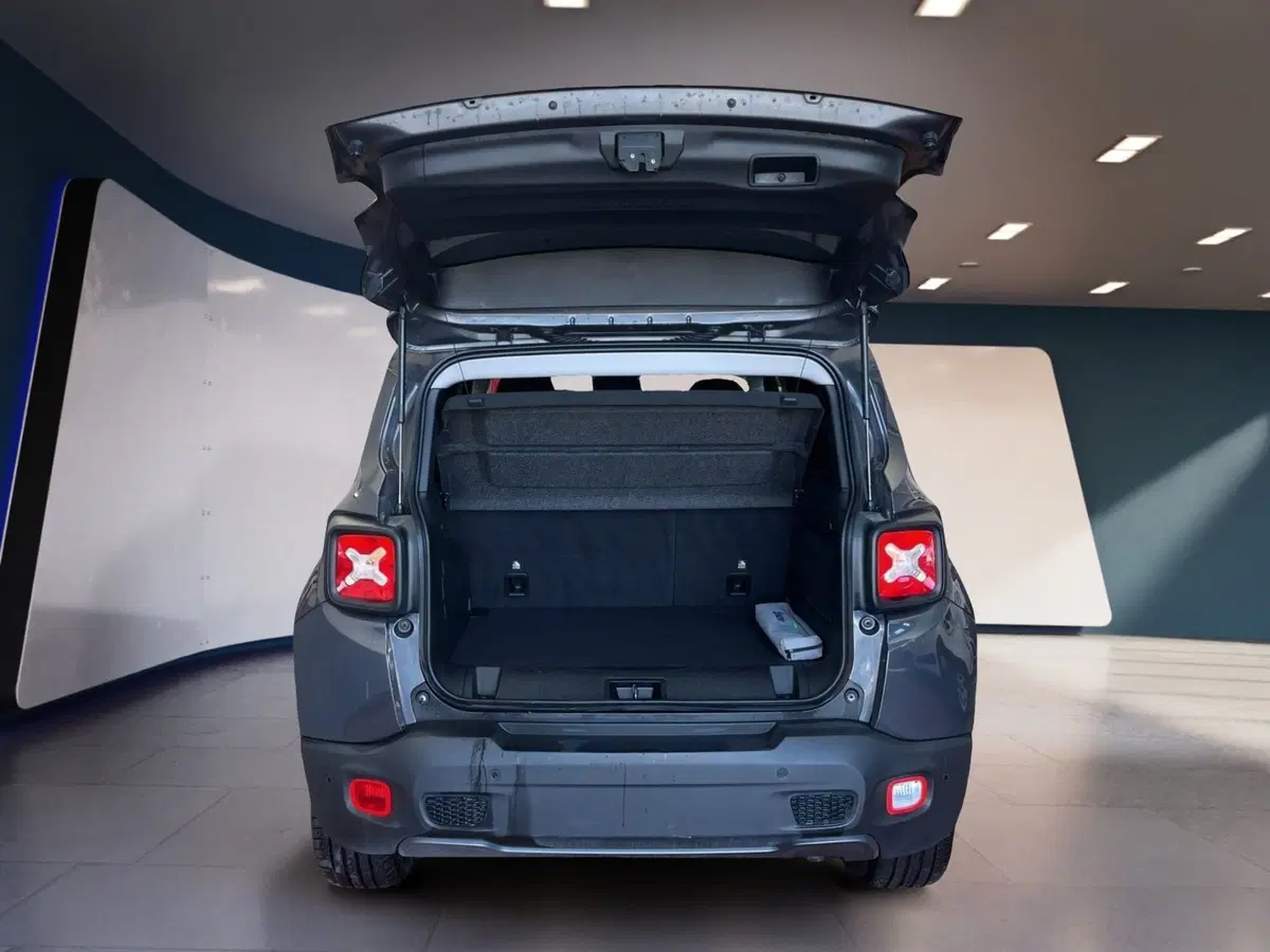 Jeep Renegade usata a Torino (7)