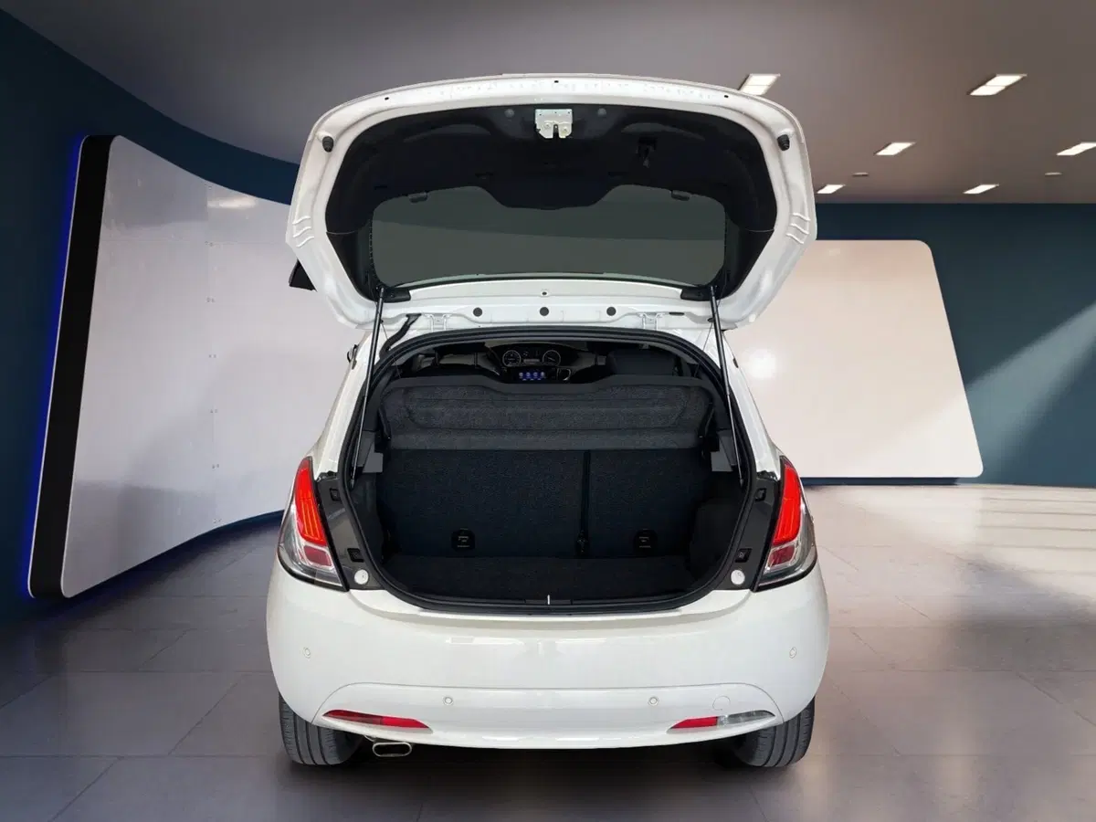 Lancia Ypsilon usata a Torino (8)