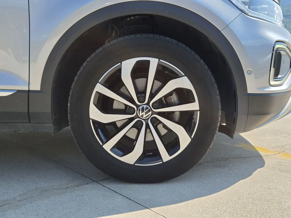 Volkswagen T-Roc usata  (12)