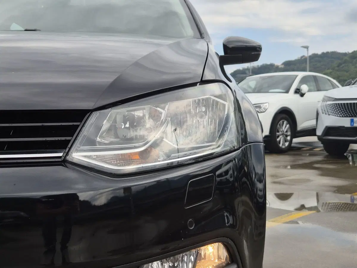 Volkswagen Polo usata  (15)