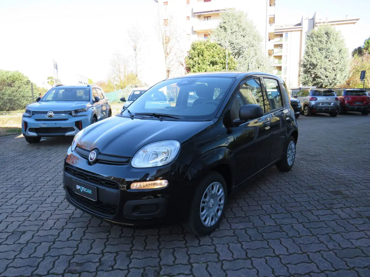 Fiat Pandina nuova a Monza e Brianza (8)