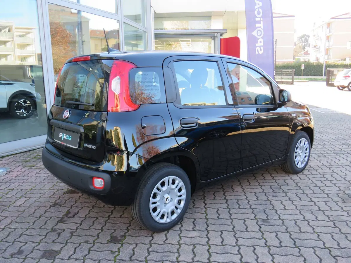 Fiat Pandina nuova a Monza e Brianza (5)