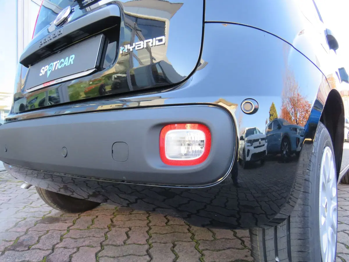Fiat Pandina nuova a Monza e Brianza (6)