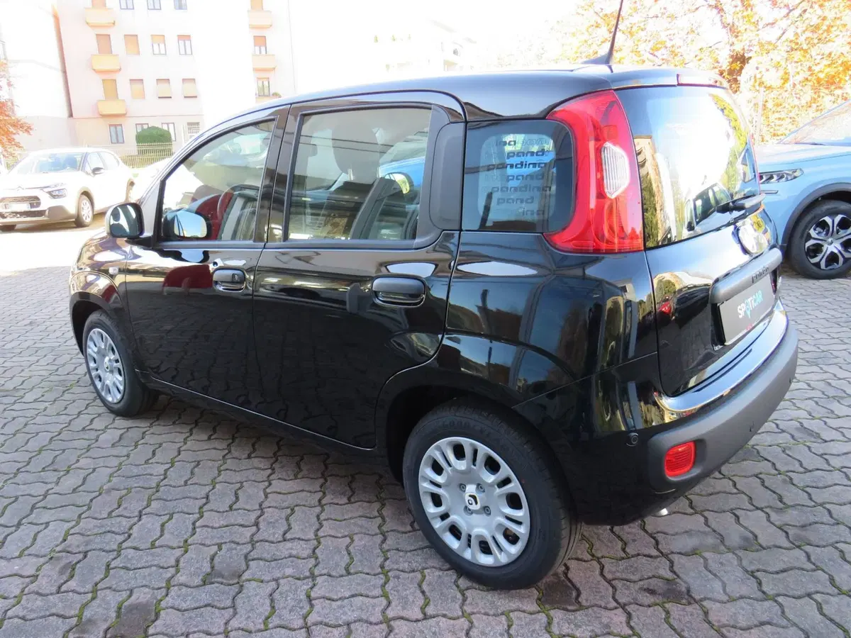 Fiat Pandina nuova a Monza e Brianza (7)