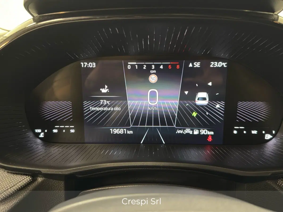 Skoda Fabia usata a Varese (7)