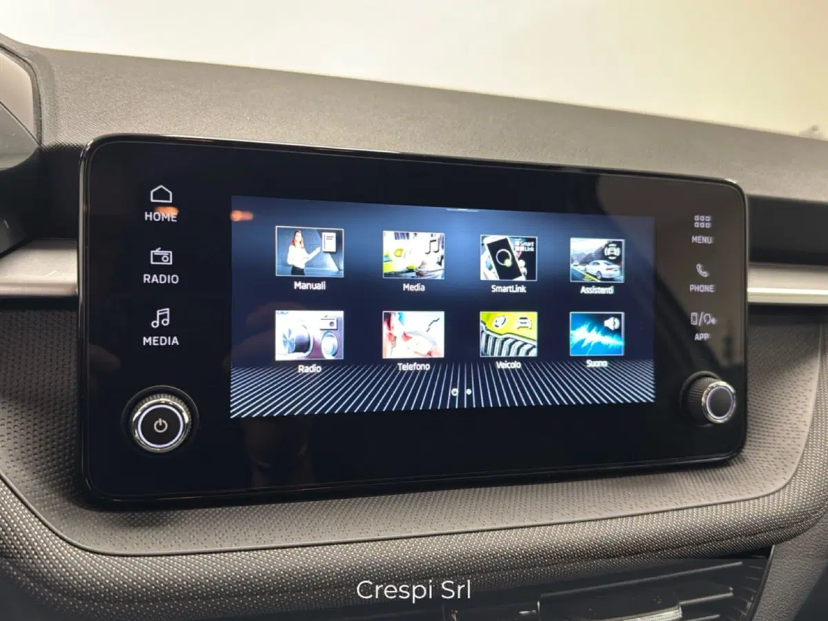 Skoda Fabia usata a Varese (9)