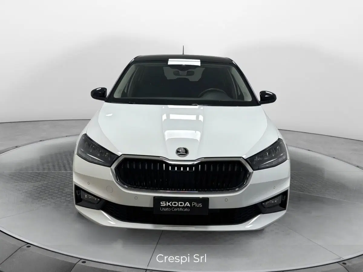 Skoda Fabia usata a Varese
