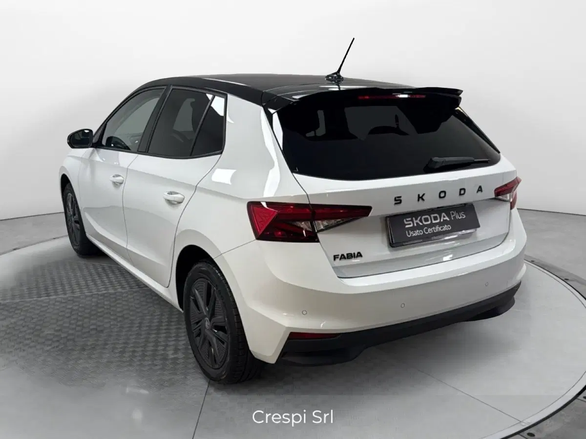 Skoda Fabia usata a Varese (2)