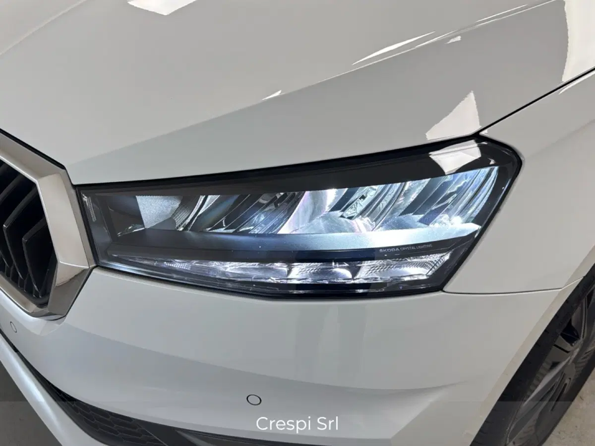 Skoda Fabia usata a Varese (6)