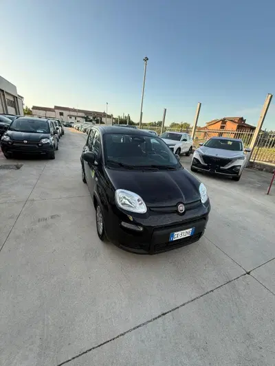 Fiat Panda Cross Cross 1.0 FireFly S&S Hybrid del 2024 usata a Ceccano