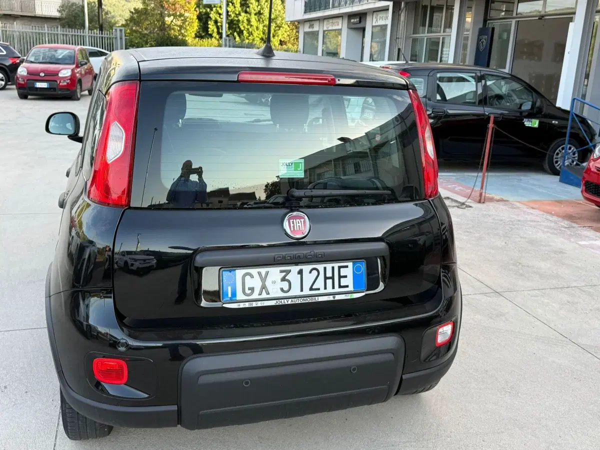 Fiat Panda Cross usata a Frosinone (10)